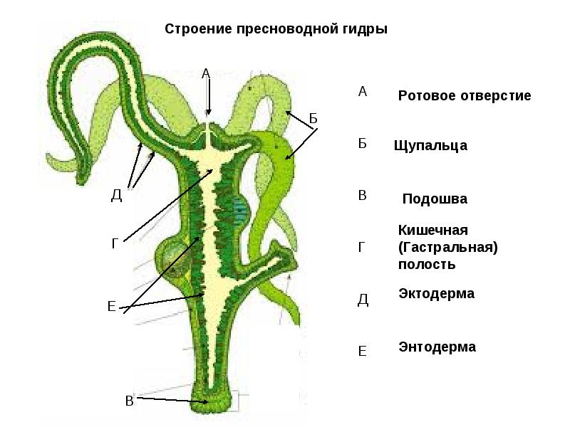 Кракен 2kraken biz