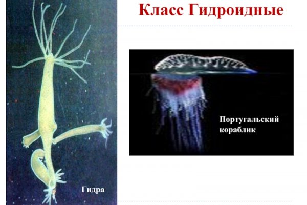 Как пополнить кошелек кракена